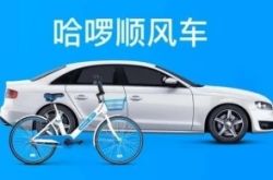 【1分钟教程】昆明咨询管理有限公司_哔哩哔哩